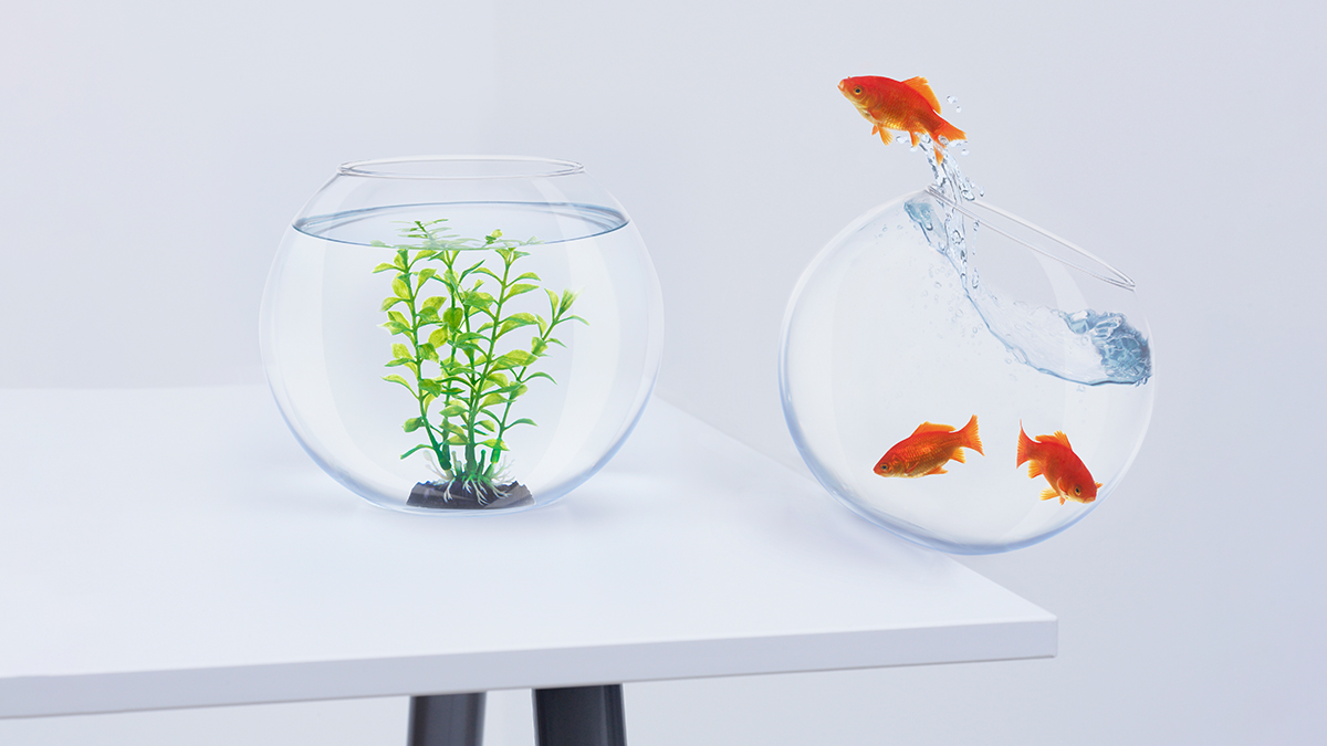 Kako da procenite potencijalnog poslodavca koji je u krizi